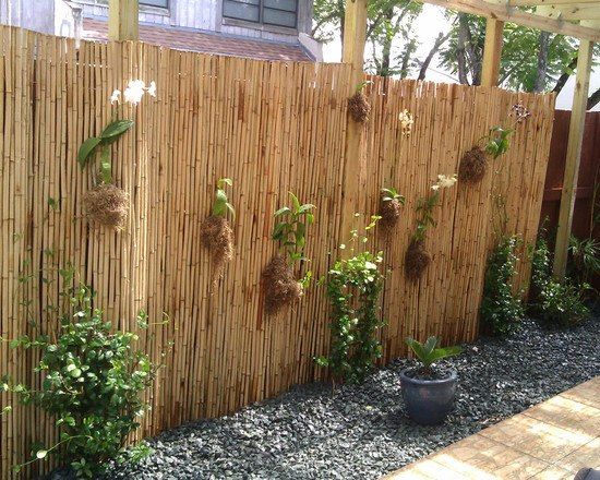 34 Beautiful "Bamboo Fence" Ideas for Privacy and Aesthetic -