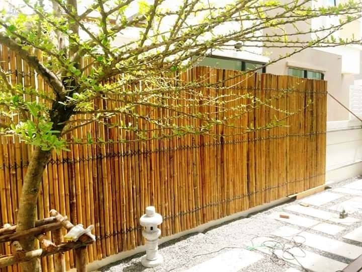 34 Beautiful "Bamboo Fence" Ideas for Privacy and Aesthetic -