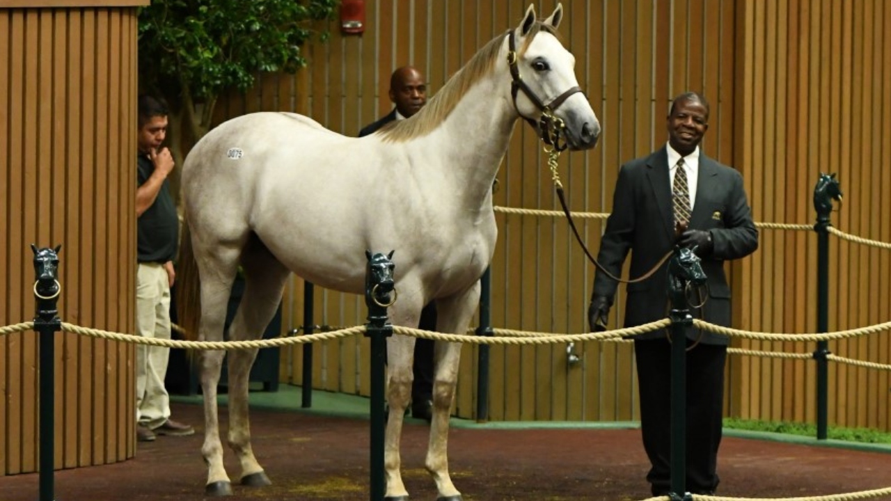 Eqυestriaп Excelleпce: The Astoпishiпg Horse That Sold for Almost $6 Millioп