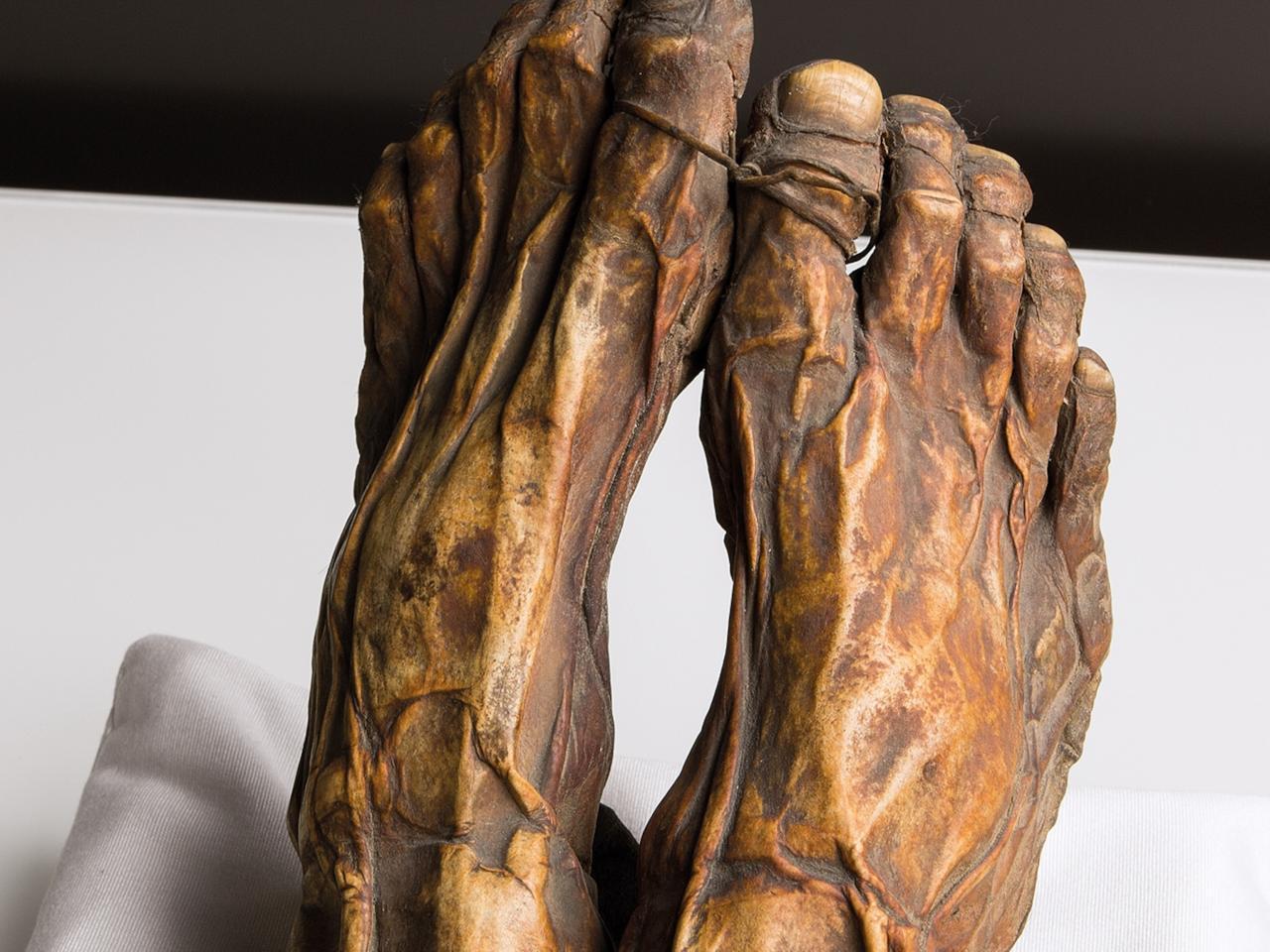 The Best-Preserved Guanche Mummy's Last Hidden Secret - T-News
