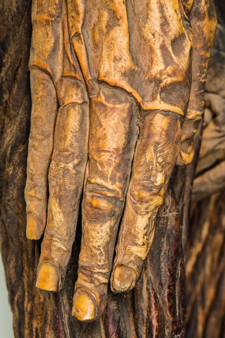 The Best-Preserved Guanche Mummy's Last Hidden Secret - T-News