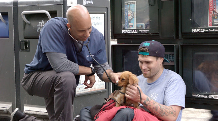 This Heroic Veterinarian Is Walking Around California Treating Homeless People’s Dogs For Free