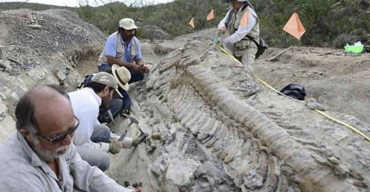 Archaeologists Left Puzzled by Discovery of Dinosaur Tail Dating Back 72 Million Years in Mexican Desert - movingworl.com