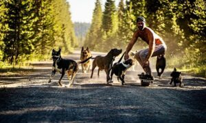 This Man Quits His Job To Travel The Country And Save Dogs From Shelters