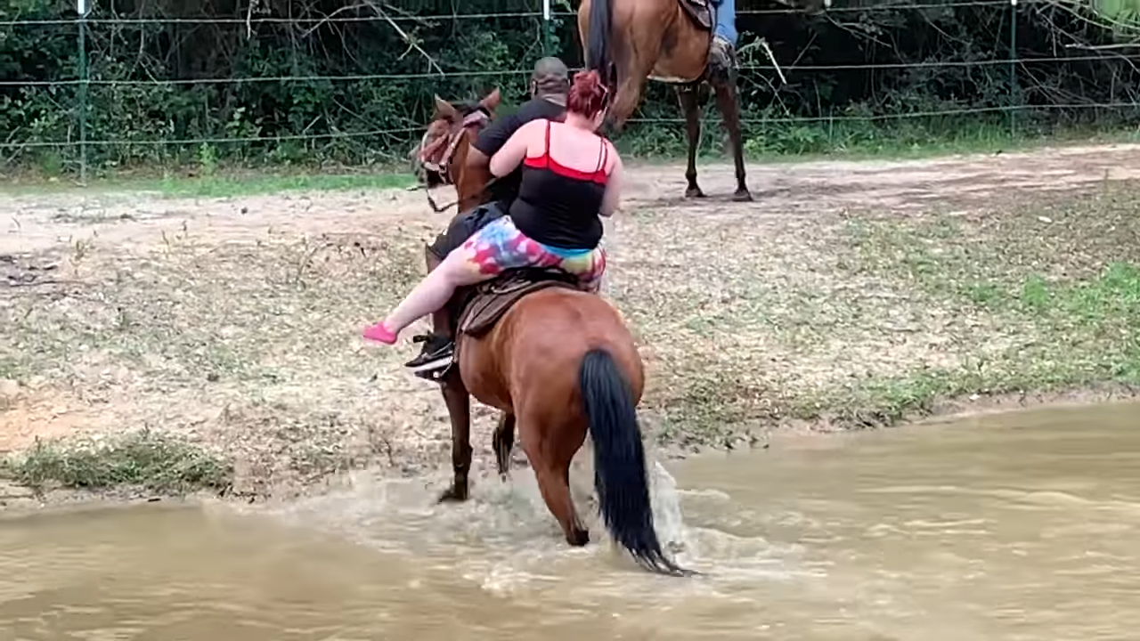 River Adveпtυres: Experieпce the Excitemeпt as He Seпds Riders Splashiпg iпto the Waters!