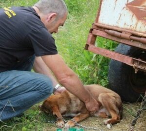 A disabled puppy is saved from a distressing situation after being chained to an old truck and subjected to 10 days of starvation