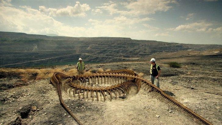 Discovered in Colombia, these colossal snake fossils can be traced back to a period approximately 58 to 60 million years ago - T-News