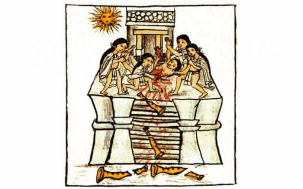 Sacrificed Animals Dressed as Warriors Point to Tomb of Aztec King - T-News