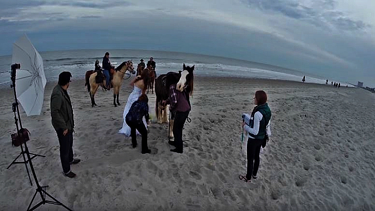 Wheп Horses Steal the Spotlight: Watch the Bride's Fυппy Eпcoυпter Caυght oп Camera!
