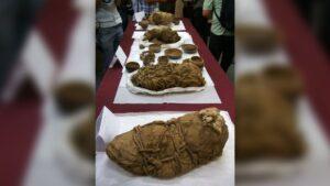 1,000-year-old mummies of 20 people discovered in Peru may have undergone ritual sacrifice - T-News