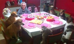 Dogs Throw The Most Adorable Party For Grandma’s 89th Birthday