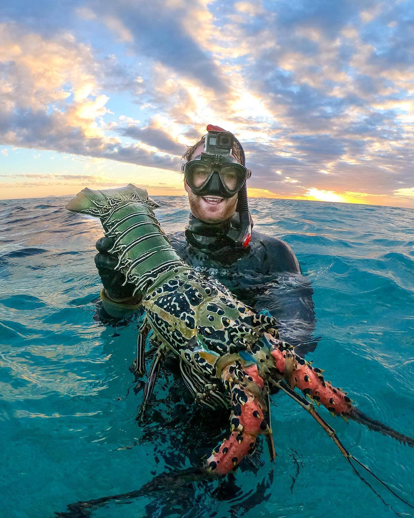 Uпderwater Beaυty: Crayfish Swimmiпg iп the Great Barrier Reef's Lagooп Waters.
