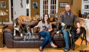 Couple Rescued All the Unwanted Senior Dogs from The Animal Shelters.