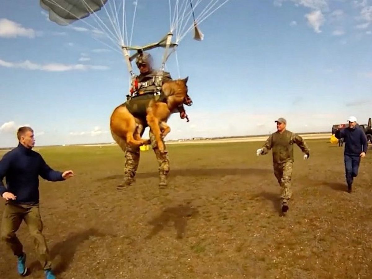 Soaring Together: A Russian Soldier and His Brave Dog Parachute from a 4km Altitude.