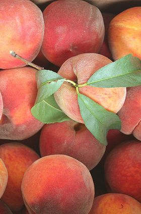 Indulging In Summer's Delight: The Irresistible Charm Of Georgia's Ripe Peaches - Nature and Life