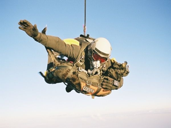 Soaring Together: A Russian Soldier and His Brave Dog Parachute from a 4km Altitude.