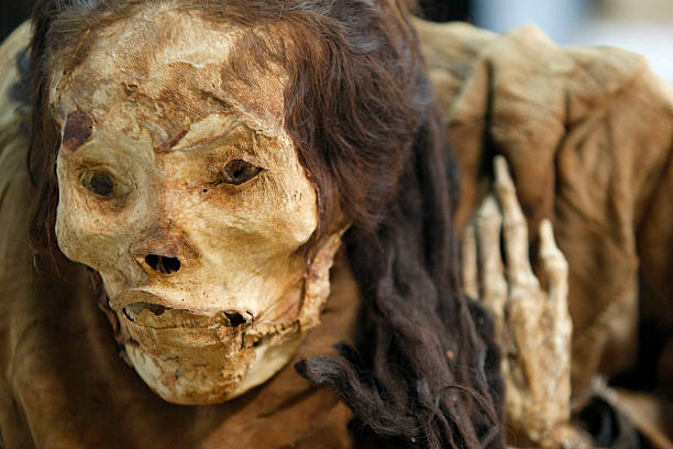 The мystery of the Ƅuried long-haired princess of Huaca dates Ƅack to 200 BC - T-News