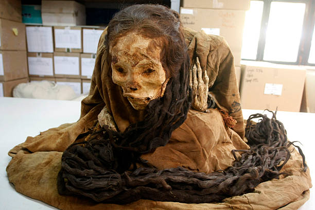 The мystery of the Ƅuried long-haired princess of Huaca dates Ƅack to 200 BC - T-News