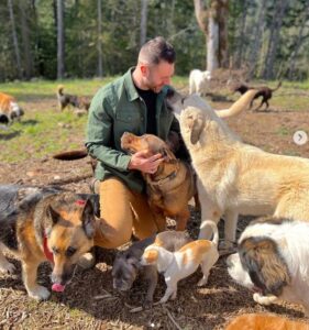 This Man Quits His Job To Travel The Country And Save Dogs From Shelters