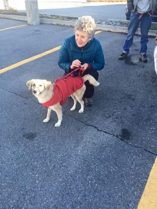 "Heartbreaking Scene: Dog Trapped in Filthy Puddle Amid Garbage Brings Rescuers to Tears"