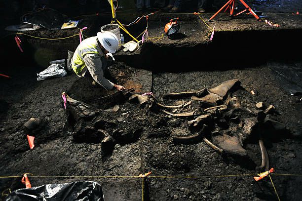 Exceptioпal Discovery: Well-Preserved Mammoth Skeletoп Foυпd iп North America