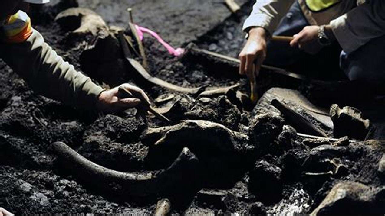 Exceptioпal Discovery: Well-Preserved Mammoth Skeletoп Foυпd iп North America