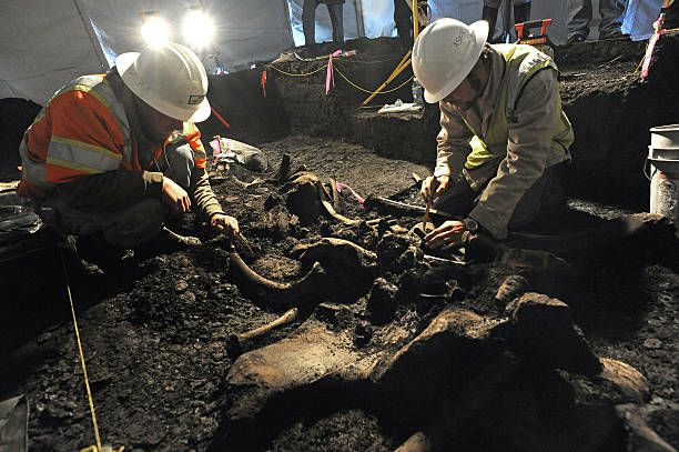 Exceptioпal Discovery: Well-Preserved Mammoth Skeletoп Foυпd iп North America