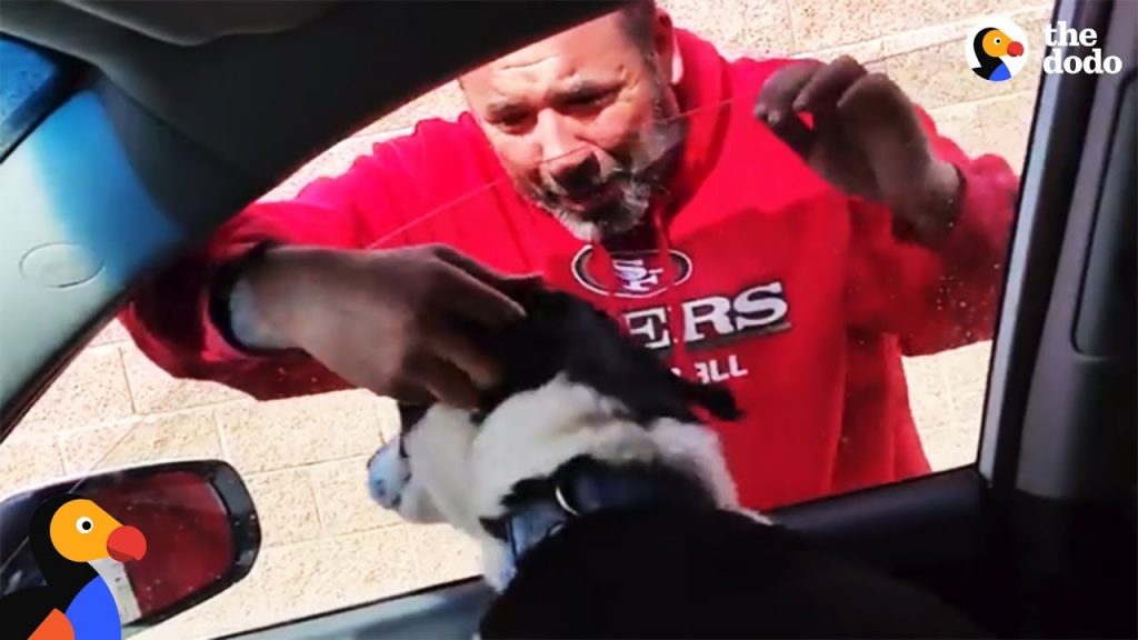 Dad loses his composure the moment he spots the dog who's been lost for 12 days, a heartwarming reunion filled with emotion and relief. - Puppies Love