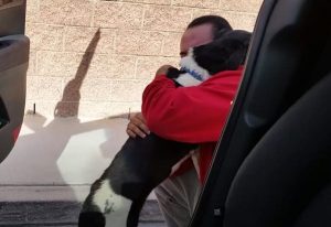 Dad loses his composure the moment he spots the dog who's been lost for 12 days, a heartwarming reunion filled with emotion and relief. - Puppies Love