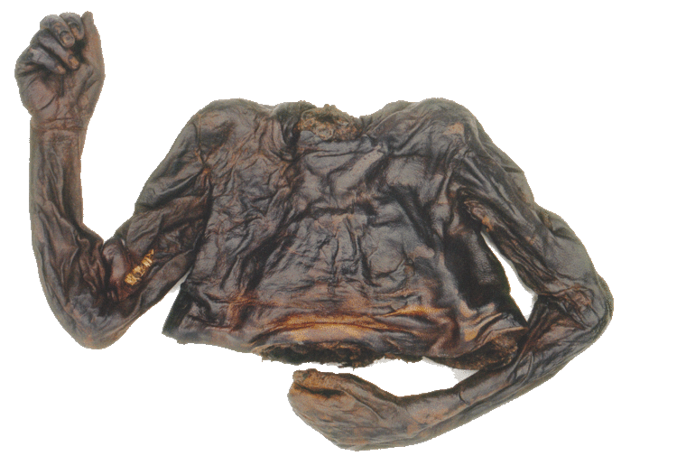 Irish bog bodies, some recent discoveries - T-News