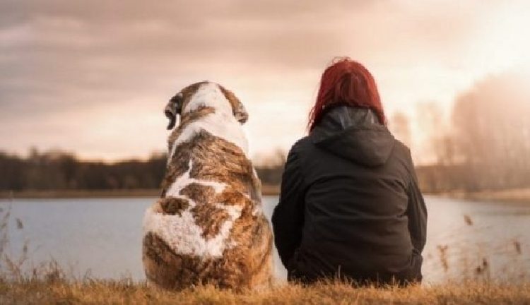 The Emotional Last Goodbye To His Elderly Puppy After 15 Years Faithfully By His Side