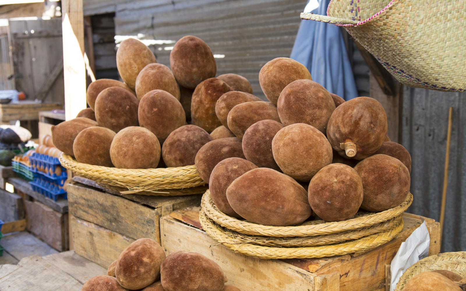 Exploring The Nutritional Riches Of Baobab Fruit: Nature's Treasured Gift from The African Savanna - Amazing Nature