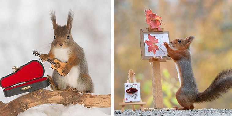 Photographer Shares His 6-Year Collection Featuring Adorable Squirrels