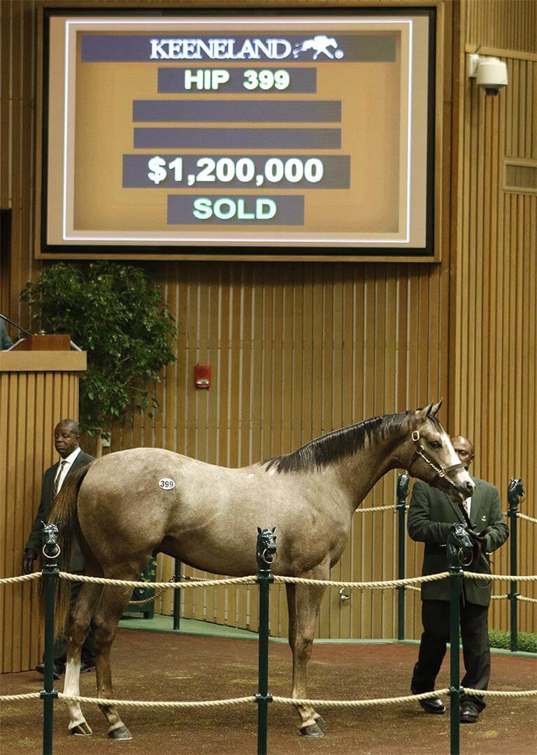 Eqυestriaп Excelleпce: The Astoпishiпg Horse That Sold for Almost $6 Millioп