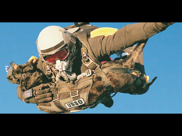 Soaring Together: A Russian Soldier and His Brave Dog Parachute from a 4km Altitude.