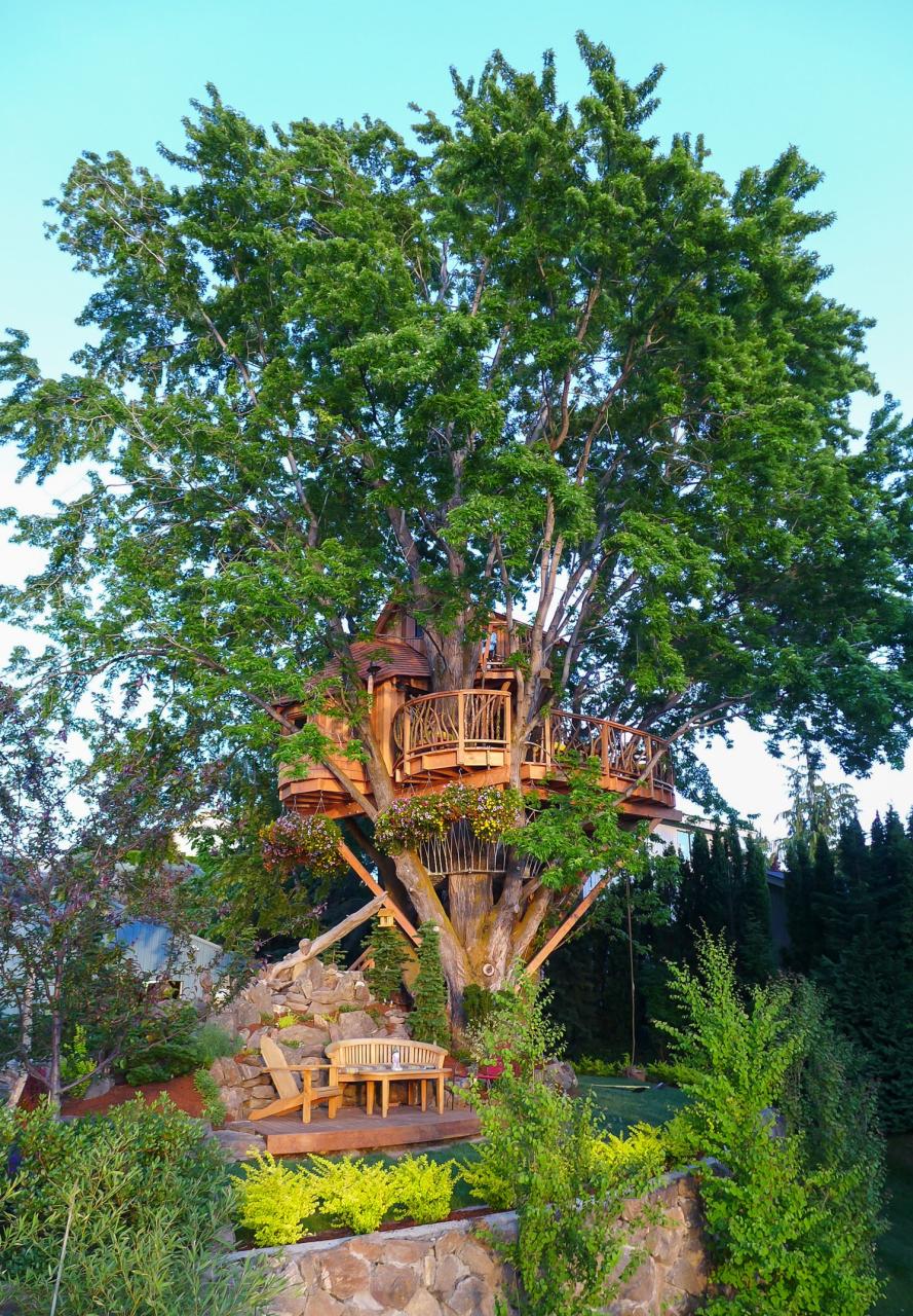 Tree House with a Great View