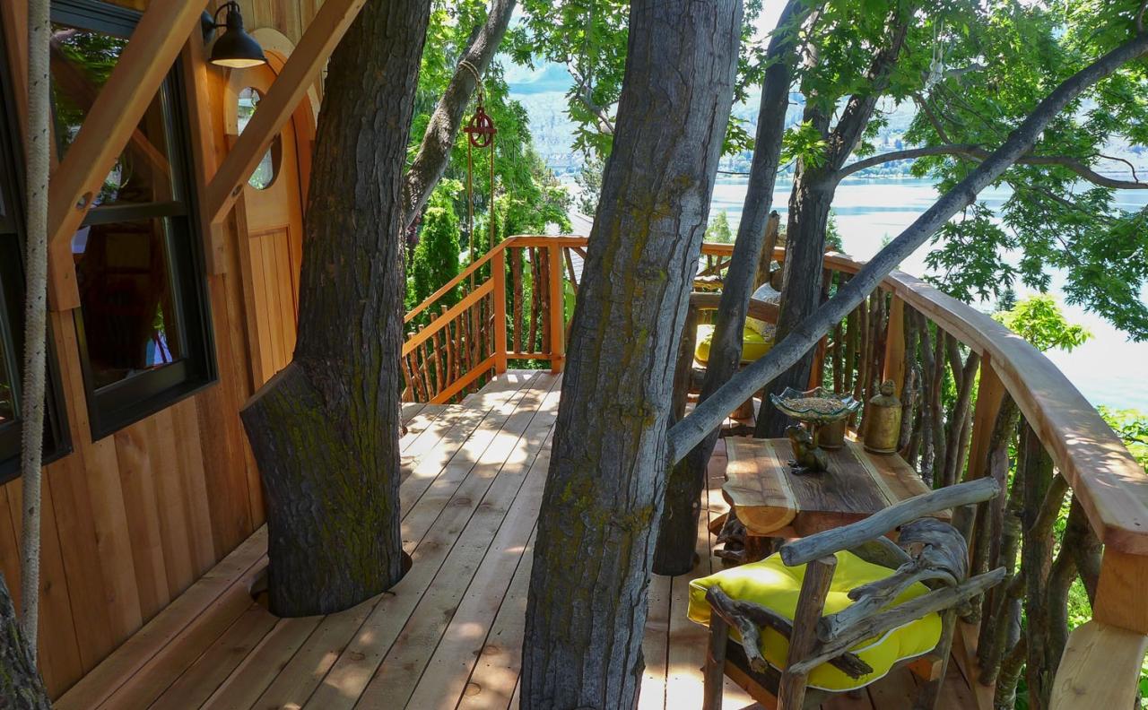 Tree House with a Great View