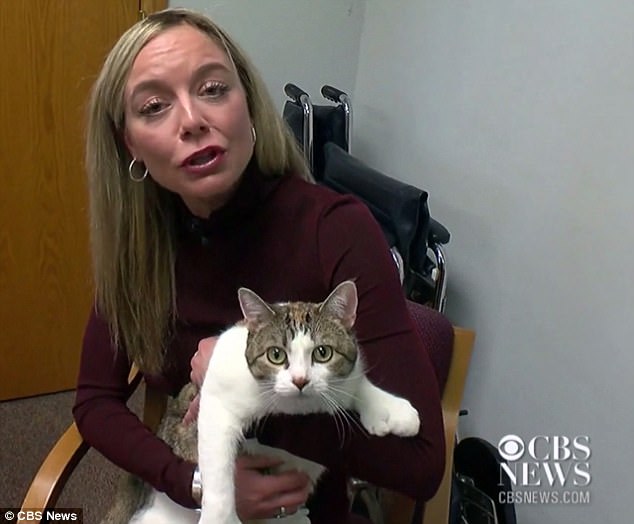 The current record for the highest number of toes on a cat is 28 to which Paws has equaled . Here he is being held by CBS reporter Molly Rosenblatt