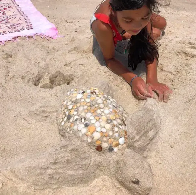 Crafting Charming Seashell Creatures: Embracing Artistic Freedom By The Shore - Nature and Life
