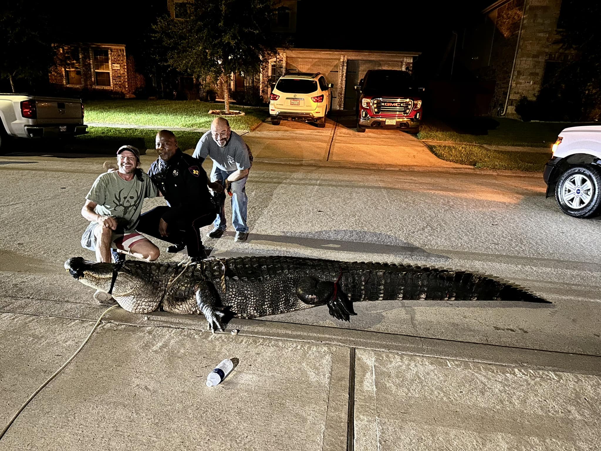 Gіɡапtіс 12-Foot Alligator Spotted in a Texas Residential Area – HUYENHUYEN