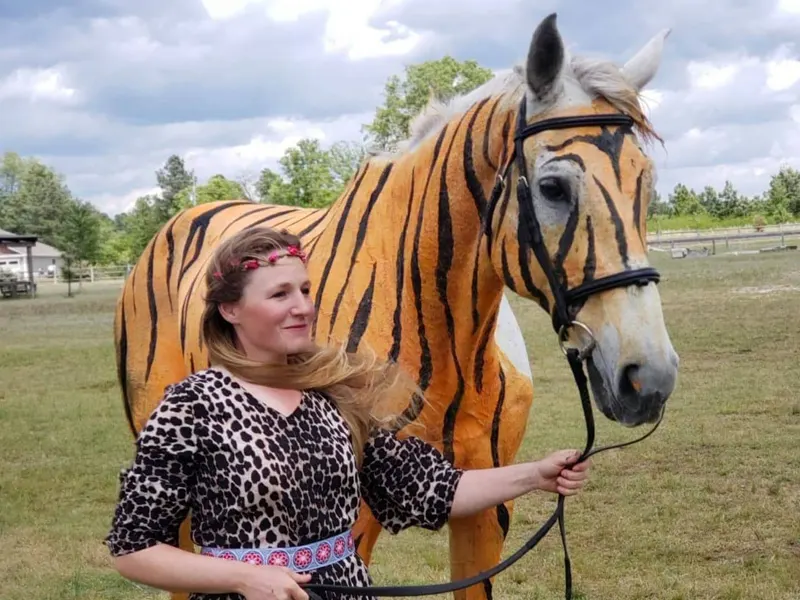 Amazed at Larry's horse whose fur looks exactly like a tiger's