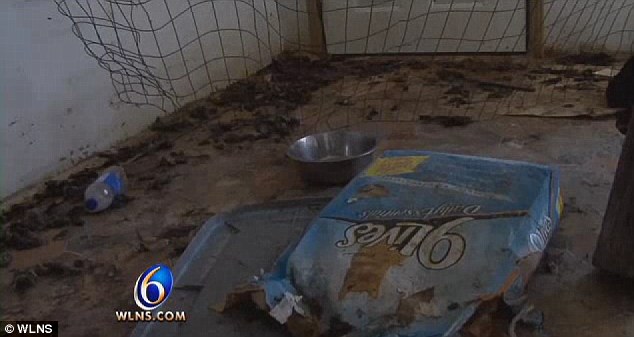 Deplorable: The two rooms were covered with feces and trash, reeking of urine and teeming with cats and kittens