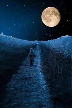 Immersed in the Enchanting Beauty of the Moon’s Ethereal Glow, Illuminating the Night Sky.VoUyen