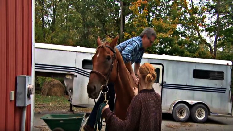 TV Reporter Attempts Riding A Horse But Gets Thrown From Him