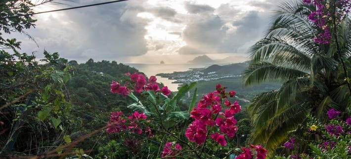 The Enigmatic Beauty of Martinique: Unveiling the Captivating Charms of the "Island of Flowers"