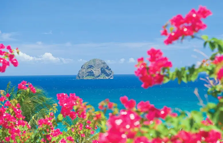 The Enigmatic Beauty of Martinique: Unveiling the Captivating Charms of the "Island of Flowers"