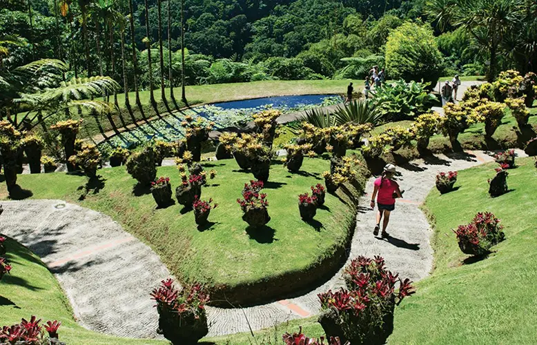 The Enigmatic Beauty of Martinique: Unveiling the Captivating Charms of the "Island of Flowers"