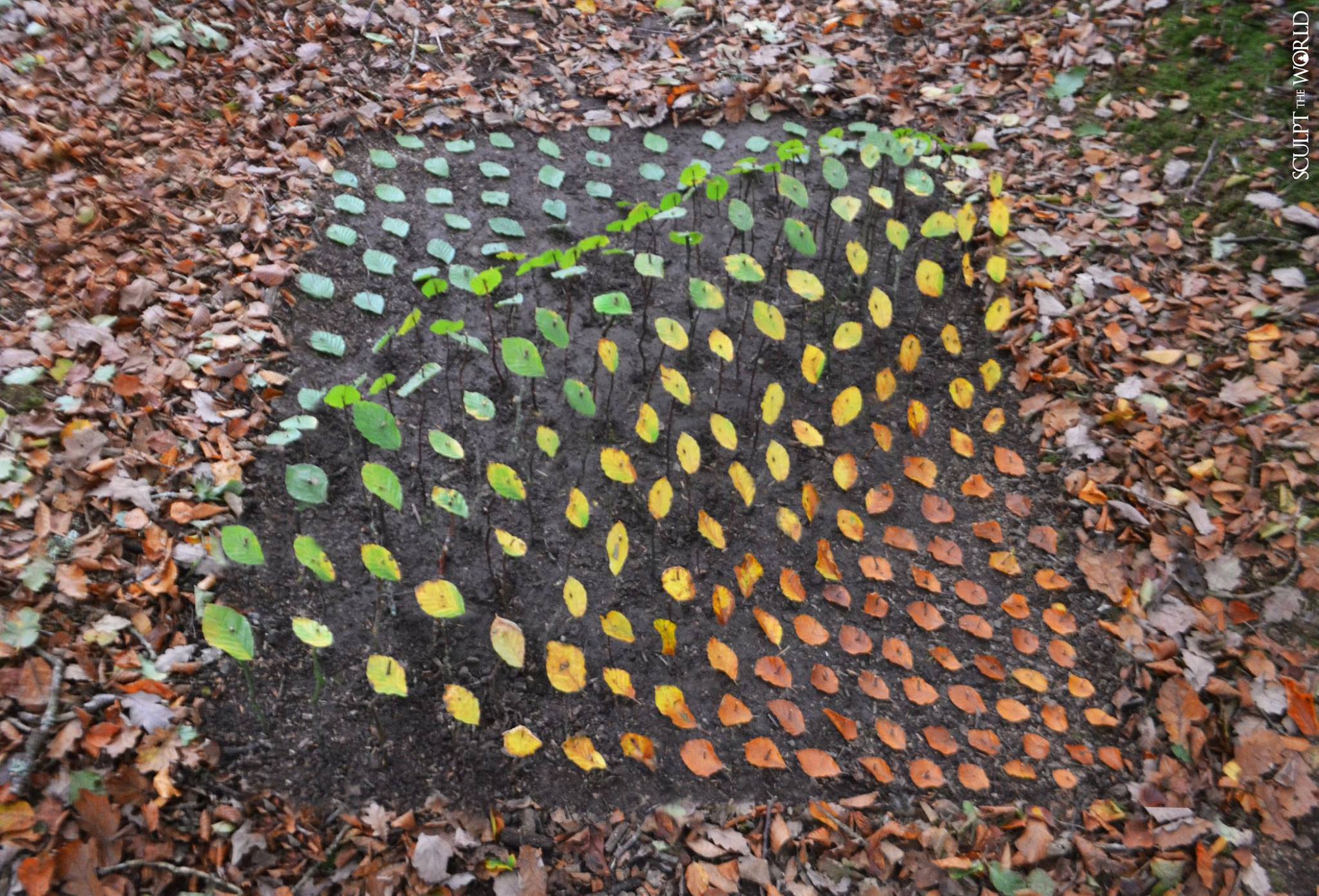 Experience the awe-inspiring work of land artist Jon Foreman, who skillfully arranges 15 striking autumn leaves, creating a visual masterpiece that captures the essence of the season.vouyen