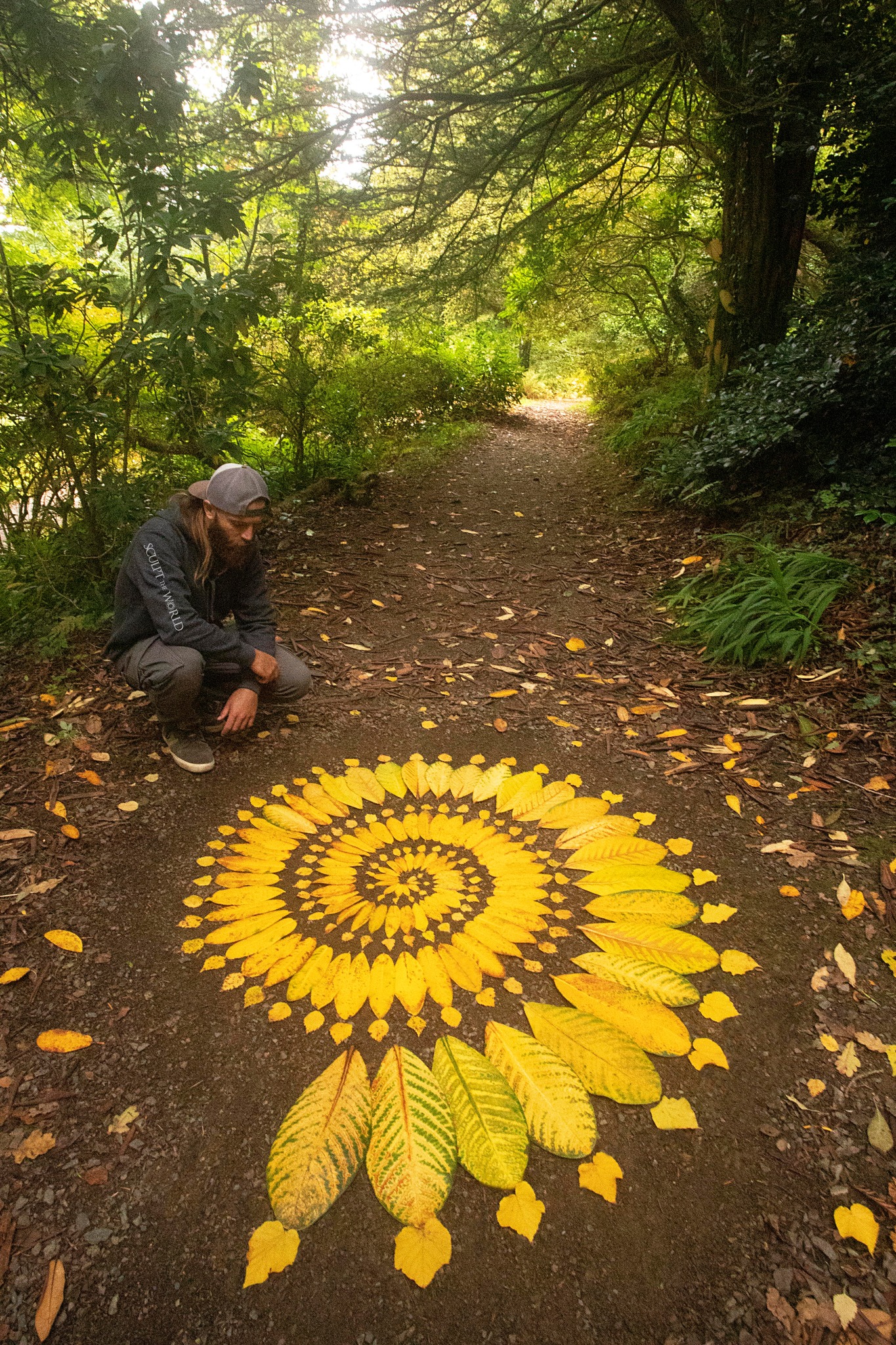 Experience the awe-inspiring work of land artist Jon Foreman, who skillfully arranges 15 striking autumn leaves, creating a visual masterpiece that captures the essence of the season.vouyen