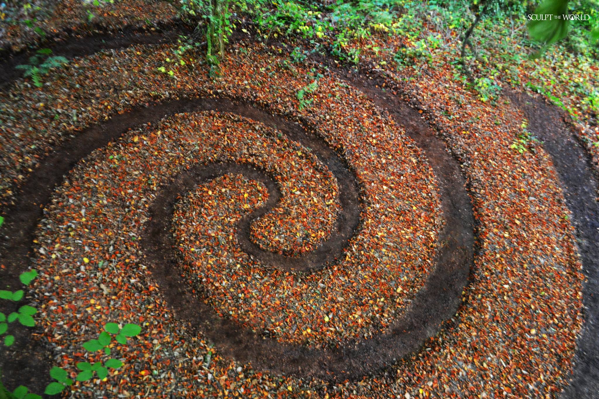 Experience the awe-inspiring work of land artist Jon Foreman, who skillfully arranges 15 striking autumn leaves, creating a visual masterpiece that captures the essence of the season.vouyen